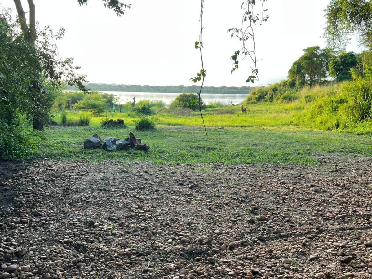 Murchison Giraffe Camp Paraa المظهر الخارجي الصورة